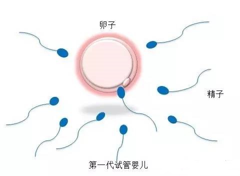 周医師